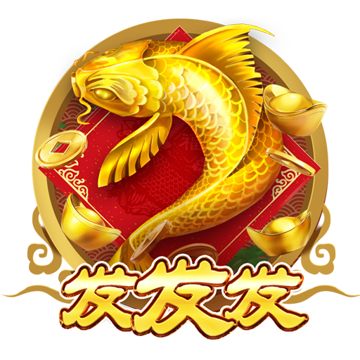 五五世纪平台